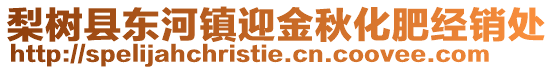 梨樹縣東河鎮迎金秋化肥經銷處