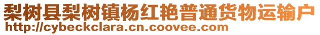 梨樹縣梨樹鎮(zhèn)楊紅艷普通貨物運(yùn)輸戶