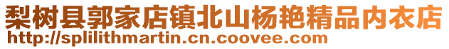 梨樹縣郭家店鎮北山楊艷精品內衣店