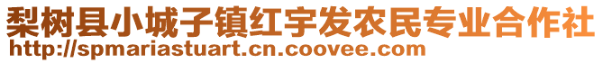 梨树县小城子镇红宇发农民专业合作社