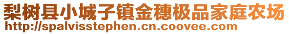 梨树县小城子镇金穗极品家庭农场