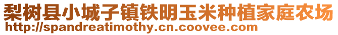 梨樹縣小城子鎮(zhèn)鐵明玉米種植家庭農(nóng)場