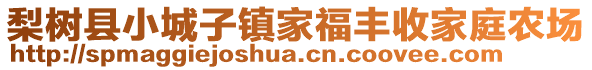 梨樹縣小城子鎮(zhèn)家福豐收家庭農(nóng)場