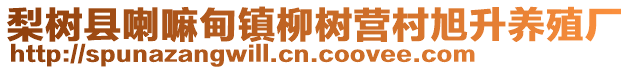 梨树县喇嘛甸镇柳树营村旭升养殖厂