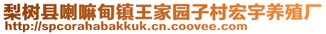 梨樹縣喇嘛甸鎮(zhèn)王家園子村宏宇養(yǎng)殖廠