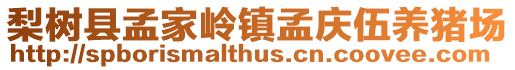 梨樹縣孟家?guī)X鎮(zhèn)孟慶伍養(yǎng)豬場