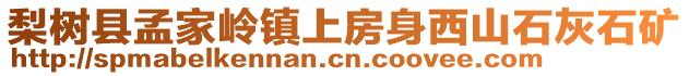 梨樹縣孟家嶺鎮上房身西山石灰石礦