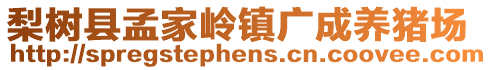梨樹縣孟家?guī)X鎮(zhèn)廣成養(yǎng)豬場(chǎng)