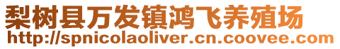 梨樹縣萬發(fā)鎮(zhèn)鴻飛養(yǎng)殖場(chǎng)