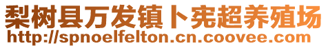 梨樹縣萬發(fā)鎮(zhèn)卜憲超養(yǎng)殖場