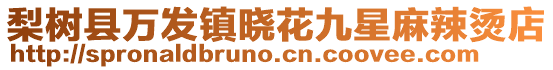 梨樹(shù)縣萬(wàn)發(fā)鎮(zhèn)曉花九星麻辣燙店