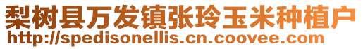 梨樹縣萬發鎮張玲玉米種植戶