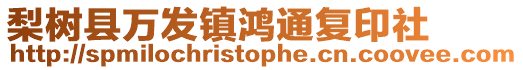 梨樹縣萬發鎮鴻通復印社