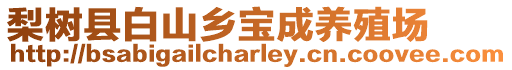 梨樹縣白山鄉(xiāng)寶成養(yǎng)殖場