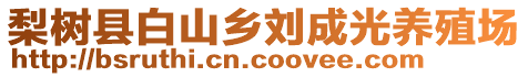 梨树县白山乡刘成光养殖场