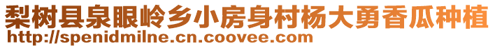 梨树县泉眼岭乡小房身村杨大勇香瓜种植