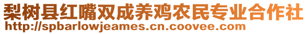 梨樹縣紅嘴雙成養(yǎng)雞農(nóng)民專業(yè)合作社