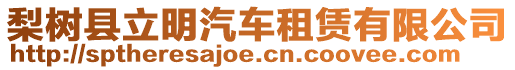 梨樹縣立明汽車租賃有限公司