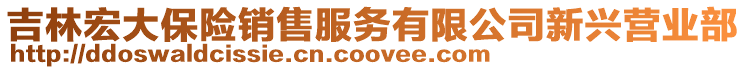 吉林宏大保險銷售服務(wù)有限公司新興營業(yè)部