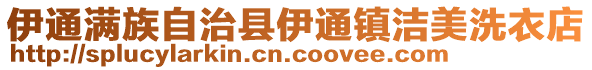 伊通滿族自治縣伊通鎮(zhèn)潔美洗衣店