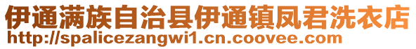 伊通滿族自治縣伊通鎮鳳君洗衣店