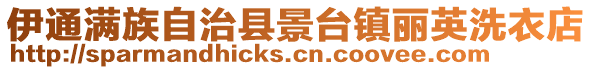 伊通滿族自治縣景臺鎮(zhèn)麗英洗衣店
