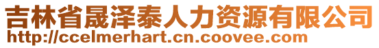 吉林省晟澤泰人力資源有限公司