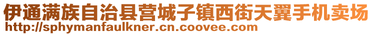 伊通滿族自治縣營城子鎮(zhèn)西街天翼手機賣場