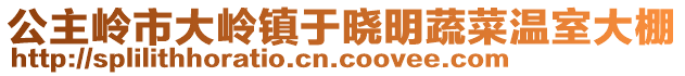 公主嶺市大嶺鎮(zhèn)于曉明蔬菜溫室大棚