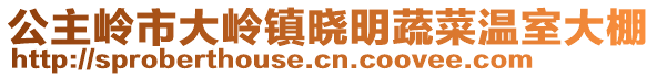 公主嶺市大嶺鎮(zhèn)曉明蔬菜溫室大棚