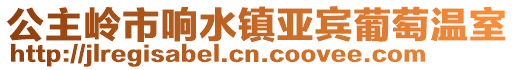 公主嶺市響水鎮(zhèn)亞賓葡萄溫室