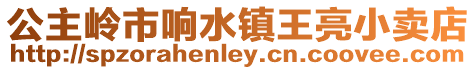公主嶺市響水鎮王亮小賣店