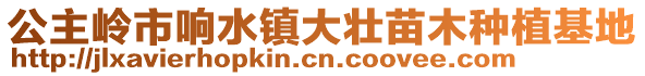 公主嶺市響水鎮(zhèn)大壯苗木種植基地