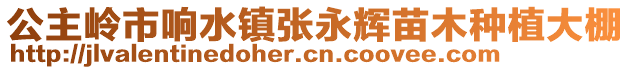 公主嶺市響水鎮(zhèn)張永輝苗木種植大棚