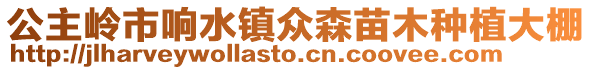 公主嶺市響水鎮眾森苗木種植大棚