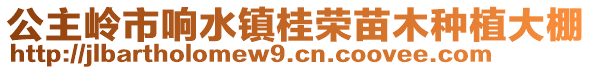 公主嶺市響水鎮(zhèn)桂榮苗木種植大棚