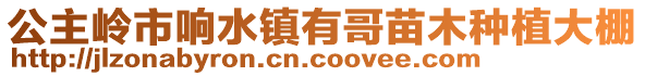 公主嶺市響水鎮(zhèn)有哥苗木種植大棚