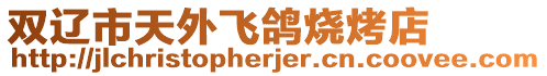 雙遼市天外飛鴿燒烤店