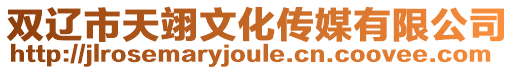 雙遼市天翊文化傳媒有限公司