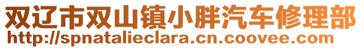 雙遼市雙山鎮(zhèn)小胖汽車修理部