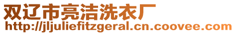 雙遼市亮潔洗衣廠