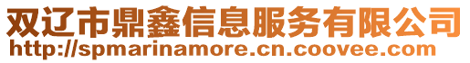 雙遼市鼎鑫信息服務有限公司