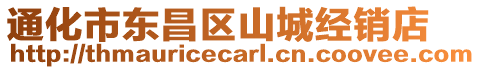 通化市東昌區(qū)山城經(jīng)銷店