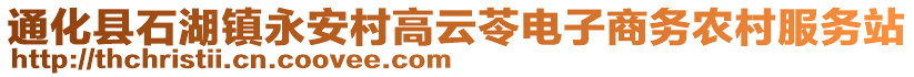 通化縣石湖鎮(zhèn)永安村高云苓電子商務農(nóng)村服務站