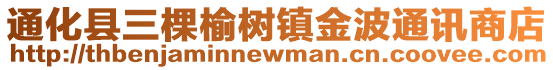 通化縣三棵榆樹鎮金波通訊商店