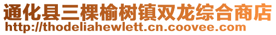 通化縣三棵榆樹鎮(zhèn)雙龍綜合商店