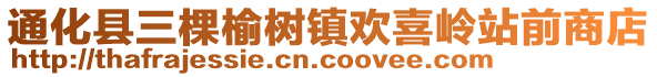 通化縣三棵榆樹(shù)鎮(zhèn)歡喜嶺站前商店