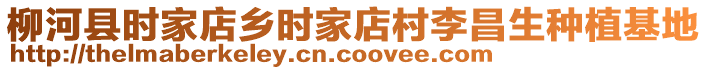 柳河縣時家店鄉(xiāng)時家店村李昌生種植基地