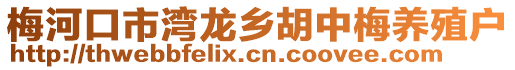 梅河口市灣龍鄉(xiāng)胡中梅養(yǎng)殖戶