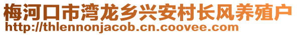 梅河口市灣龍鄉(xiāng)興安村長風(fēng)養(yǎng)殖戶